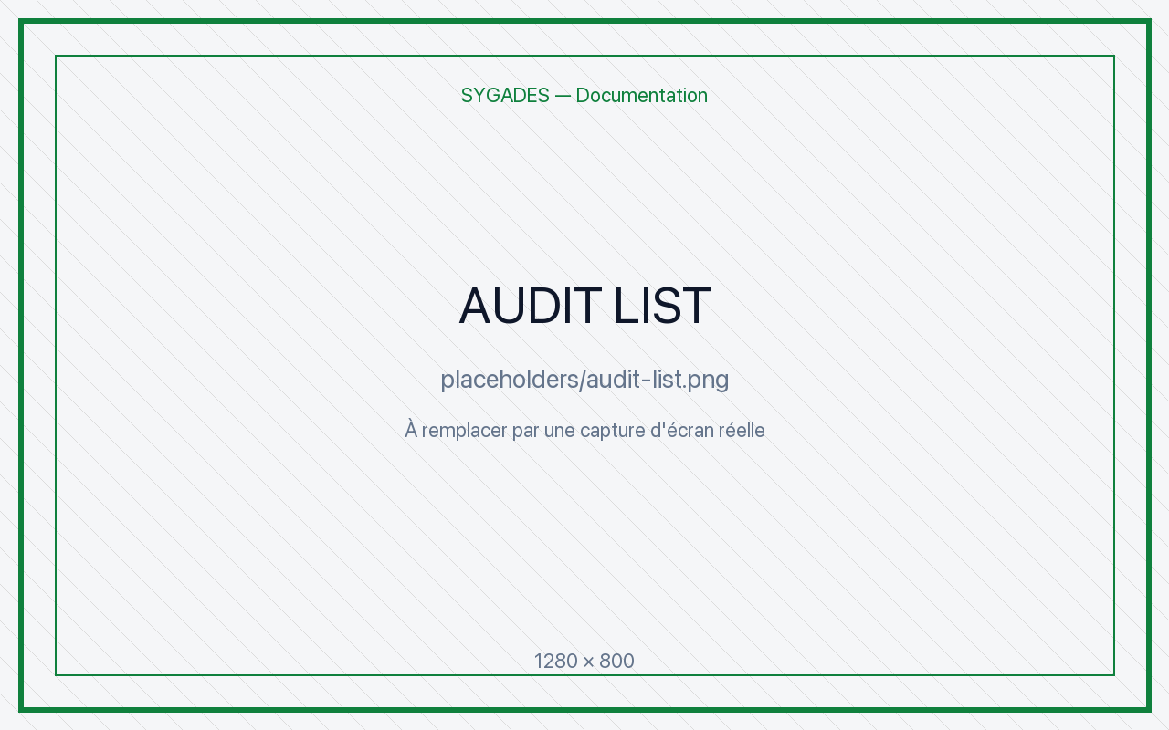 Liste audit — placeholder