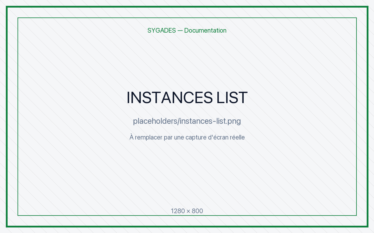 Liste instances — placeholder