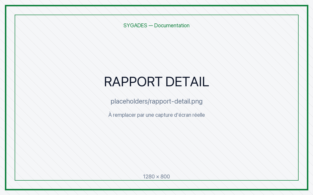 Détail rapport — placeholder