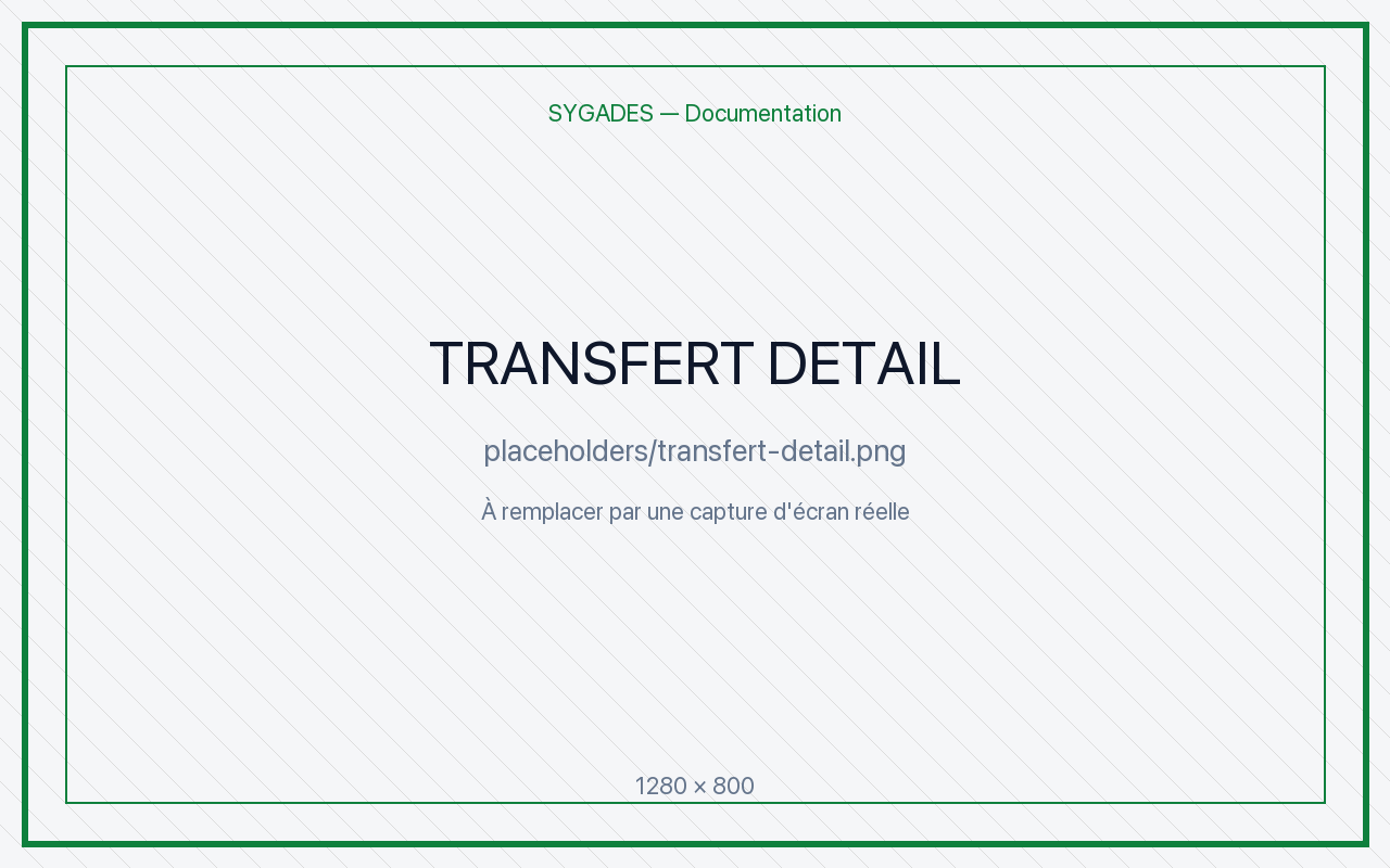 Détail transfert — placeholder